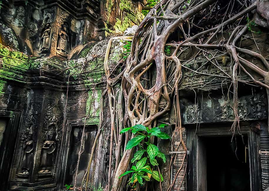 imagen n.º 6 de Siem Reap: Tour de día completo por Angkor Wat con guía y puesta de sol actividad en Siem Reap, subida por el proveedor