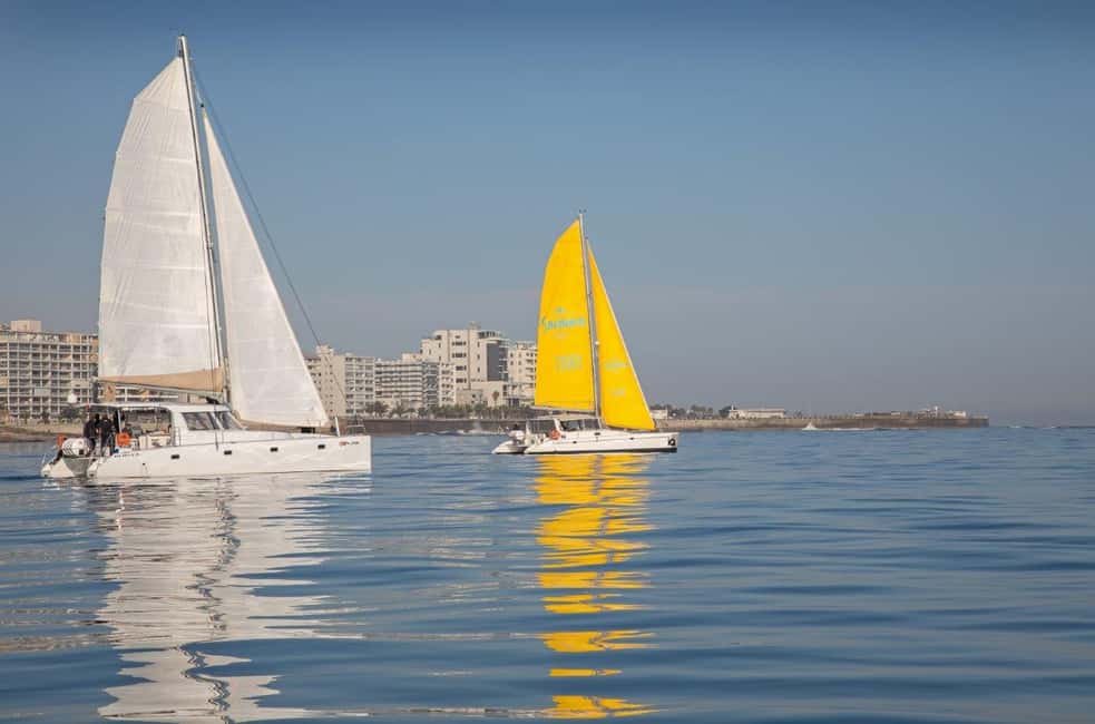 image n.5 of Cape Town: V&A Waterfront Gin Voyage Cruise activity in Cape Town, uploaded by supplier