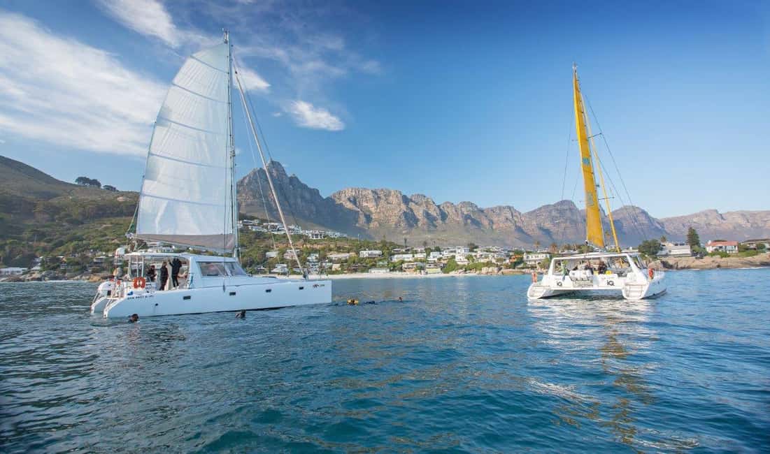 image n.1 of Cape Town: V&A Waterfront Gin Voyage Cruise activity in Cape Town, uploaded by supplier