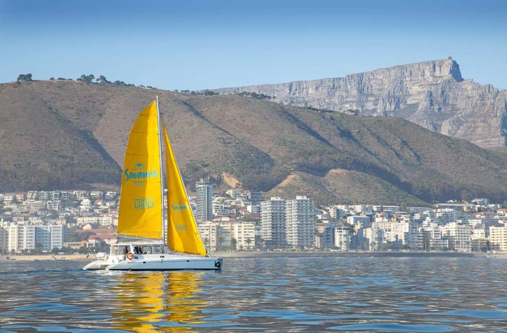 image n.12 of Cape Town: V&A Waterfront Gin Voyage Cruise activity in Cape Town, uploaded by supplier