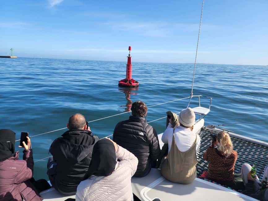 image n.8 of Cape Town: V&A Waterfront Gin Voyage Cruise activity in Cape Town, uploaded by supplier