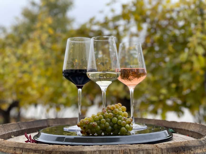 image n.6 of Vienna: Schönbrunn Palace Entry Ticket and Wine Tasting activity in Vienna, uploaded by supplier