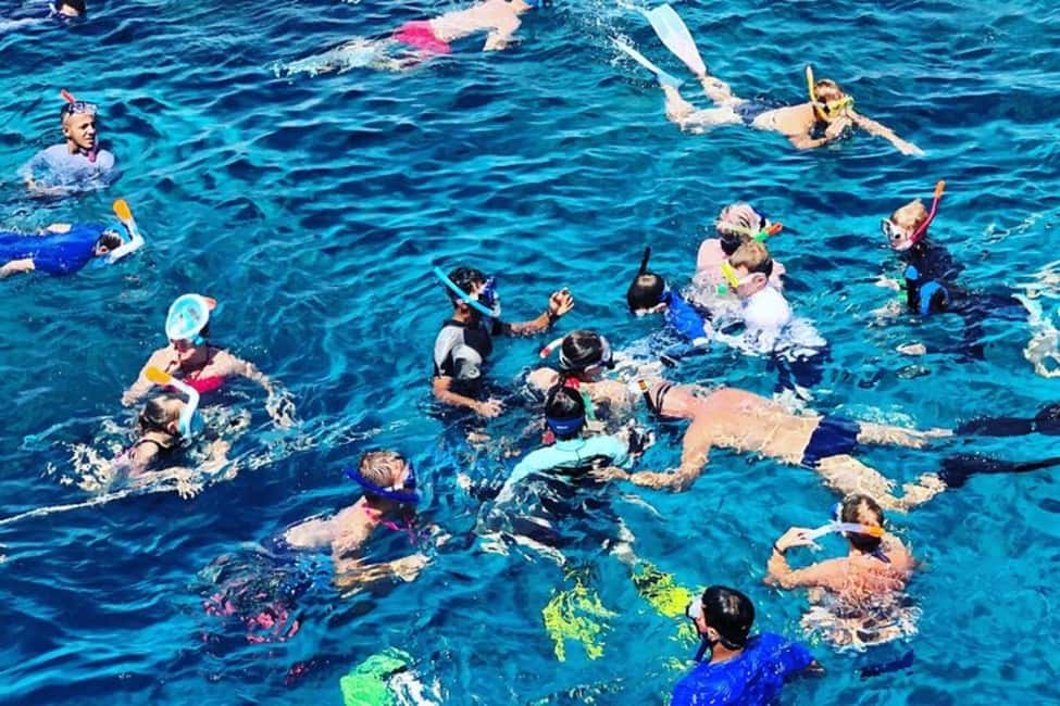 Immagine nº 9 di Mascate: tour di snorkeling e osservazione dei delfini attività a Mascate, caricata dal fornitore