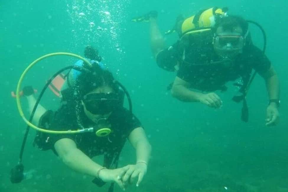 Immagine nº 10 di Mascate: tour di snorkeling e osservazione dei delfini attività a Mascate, caricata dal fornitore
