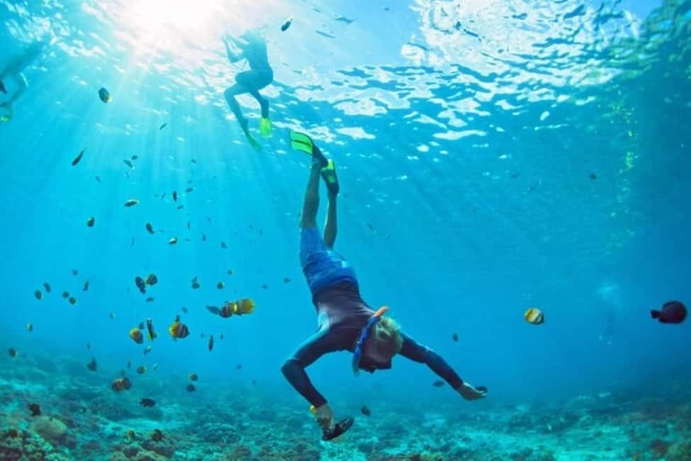 Immagine nº 7 di Mascate: tour di snorkeling e osservazione dei delfini attività a Mascate, caricata dal fornitore