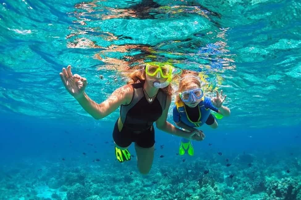 Immagine nº 4 di Mascate: tour di snorkeling e osservazione dei delfini attività a Mascate, caricata dal fornitore