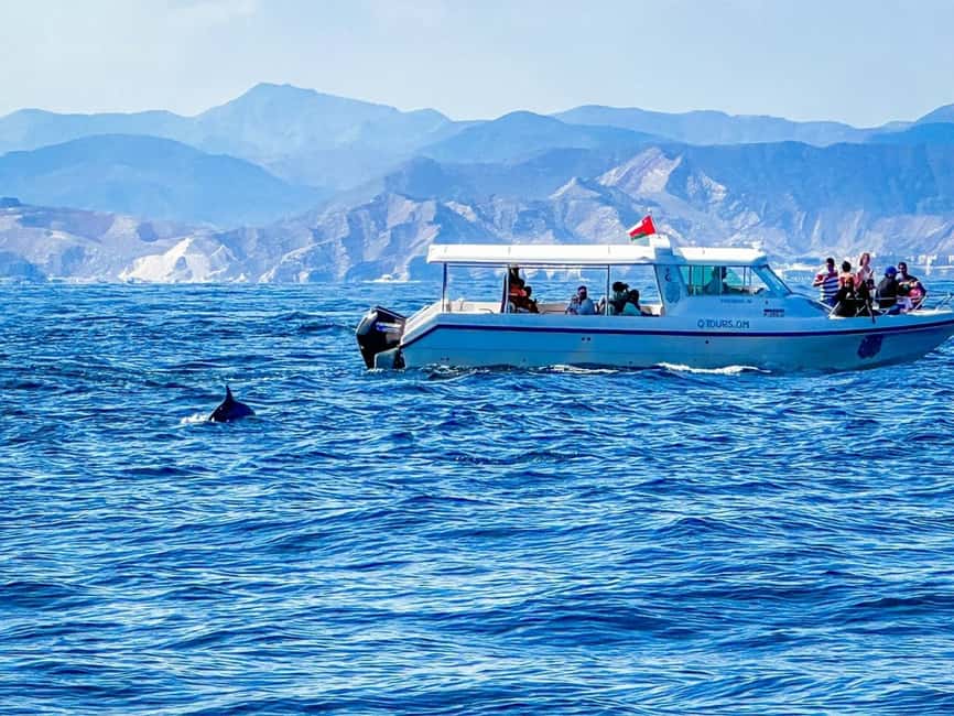 Immagine nº 16 di Mascate: tour di snorkeling e osservazione dei delfini attività a Mascate, caricata dal fornitore