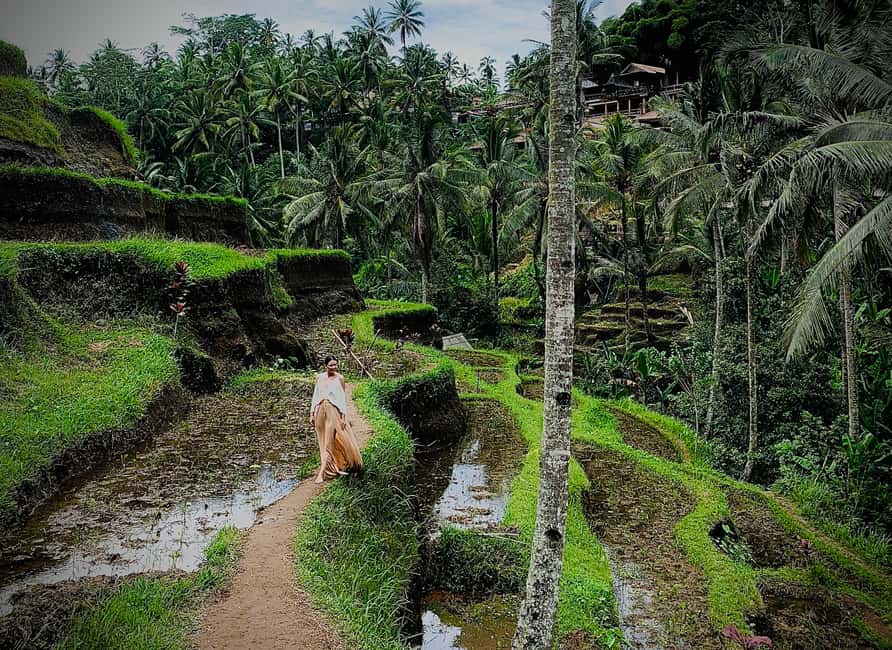 image n.4 of Ubud: Tegalalang Rice Terrace Photos Tour with Swing Ticket activity in Tegalalang, uploaded by supplier