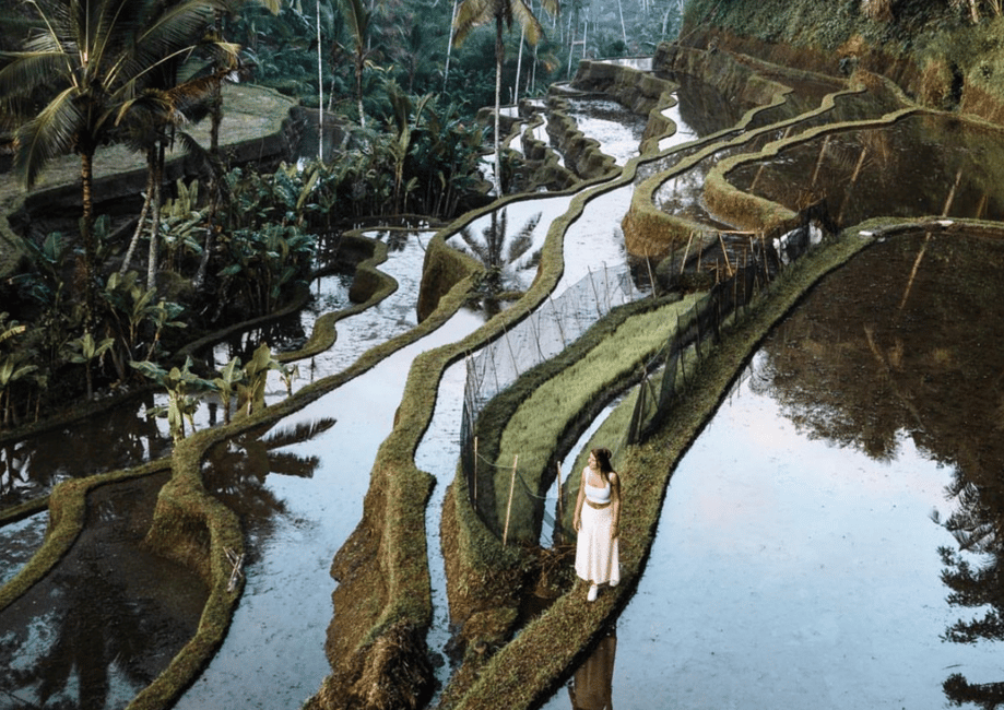 image n.5 of Ubud: Tegalalang Rice Terrace Photos Tour with Swing Ticket activity in Tegalalang, uploaded by supplier