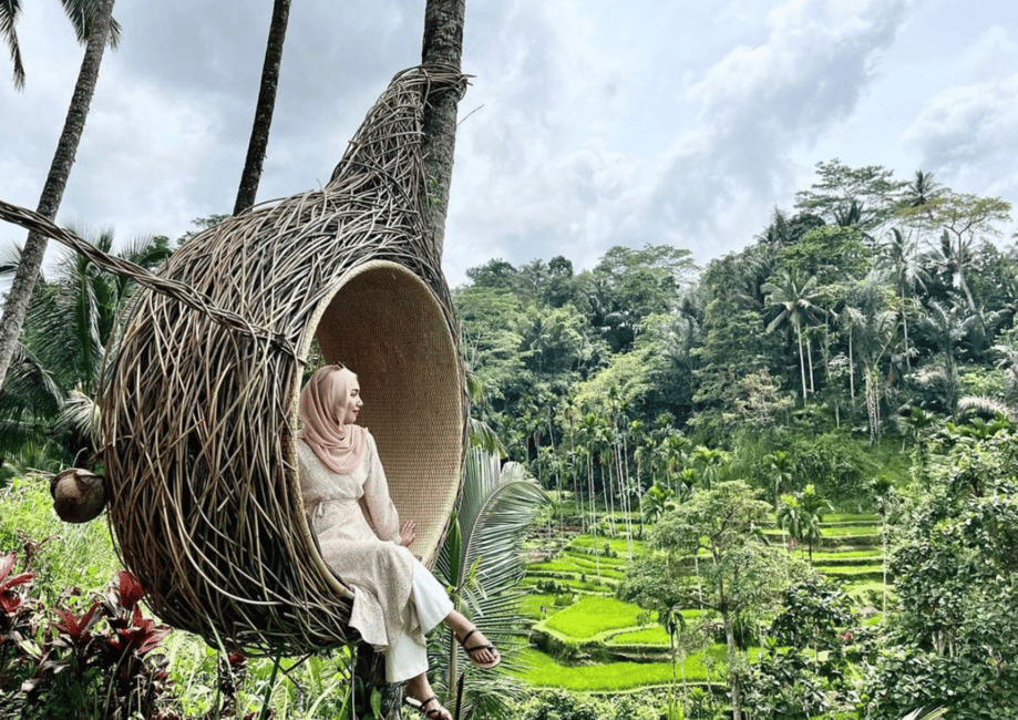 image n.6 of Ubud: Tegalalang Rice Terrace Photos Tour with Swing Ticket activity in Tegalalang, uploaded by supplier
