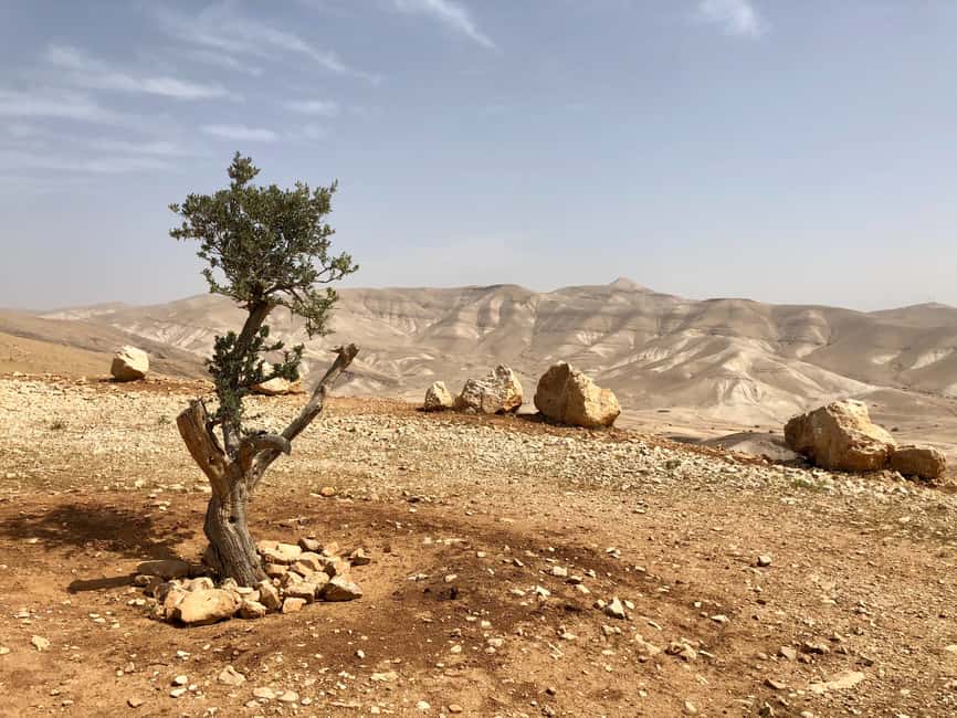 bild nr.2 av Från Jerusalem: Halvdagstur till Jeriko och Jordanfloden aktivitet i Jeriko, uppladdad av arrangören
