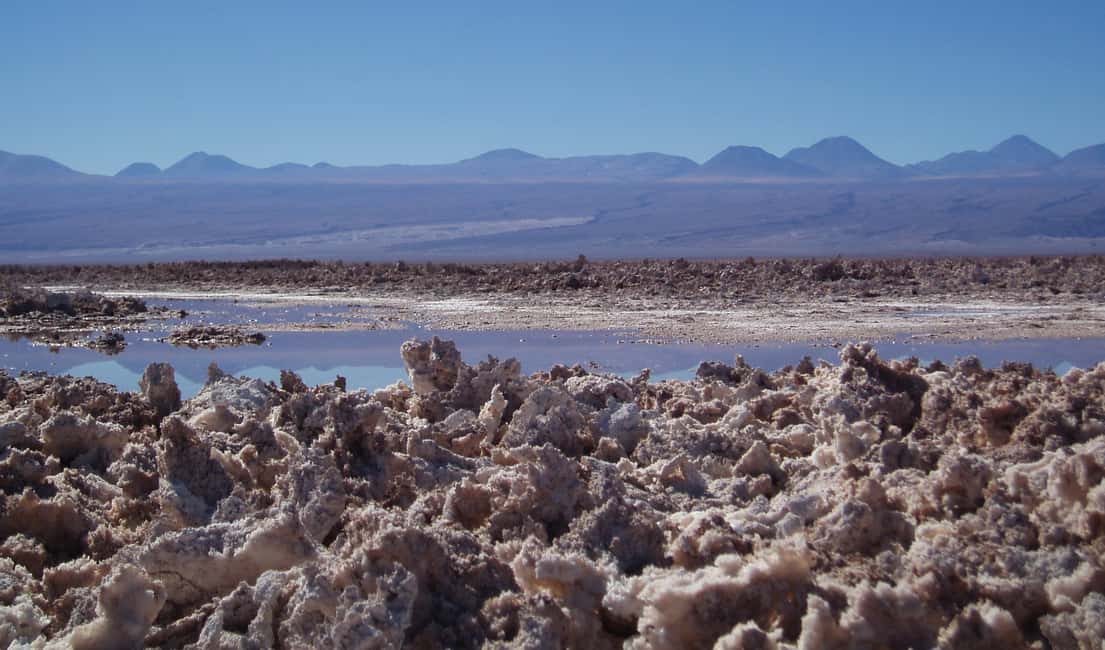 Image N°4 de Salar d'Atacama et lagunes altiplaniques activité à Nord du Chili, publiée par le prestataire