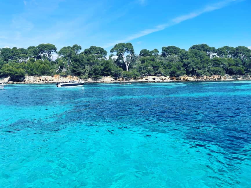 Image N°13 de Cannes : Excursion en bateau privé dans les îles de Lérins activité à Cannes, publiée par le prestataire