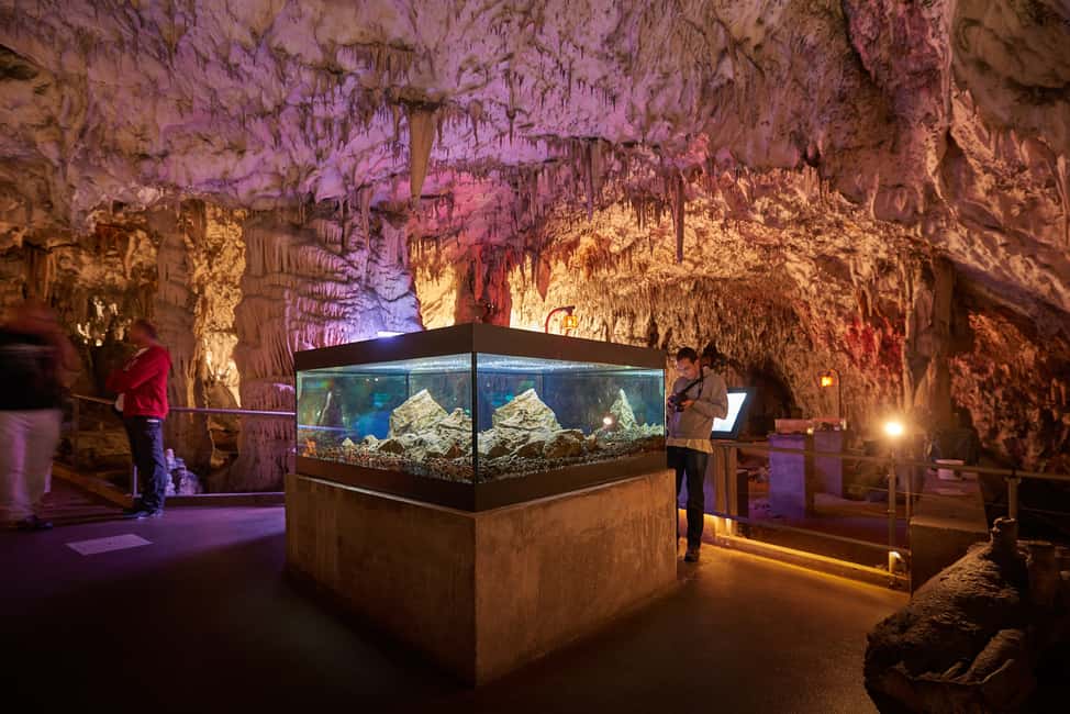 imagem n.5 de De Ljubljana: Lago Bled e caverna Postojna com ingressos atividade em Postojna, carregada pelo fornecedor