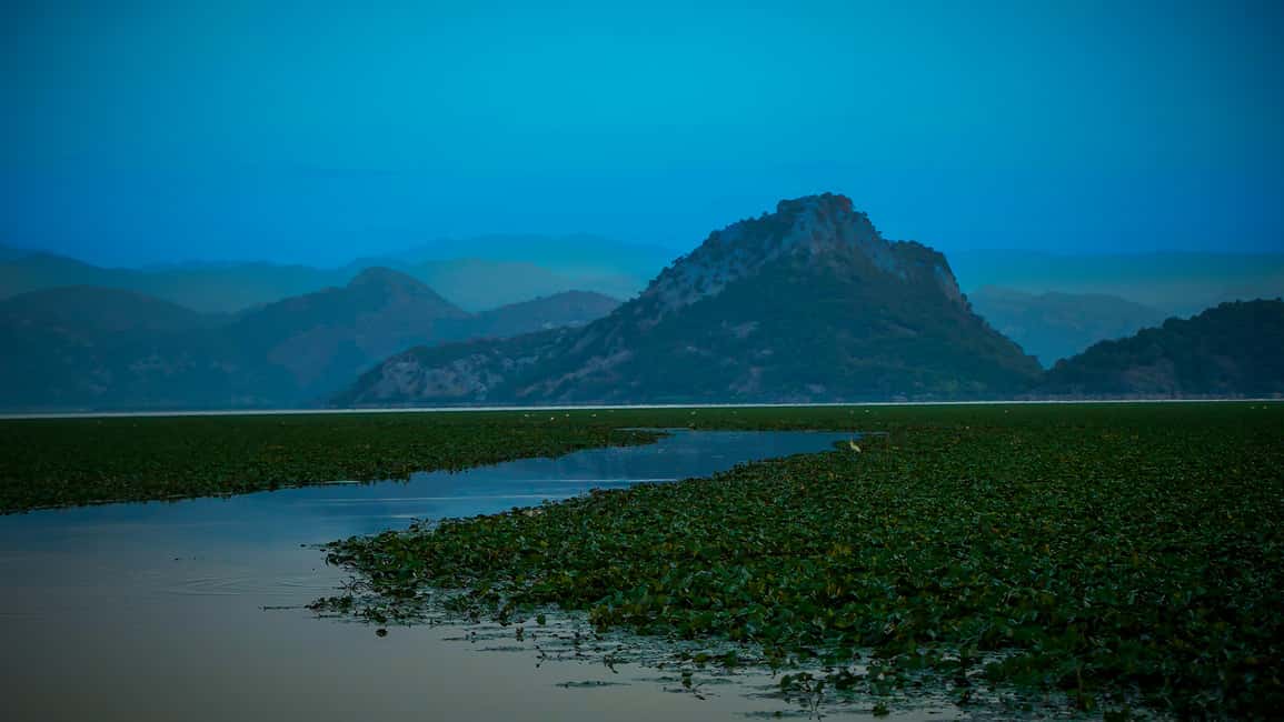 image n.7 of Virpazar: Skadar Lake PRIVATE Boat Tour to KOM MONASTERY activity in Podgorica Municipality, uploaded by supplier