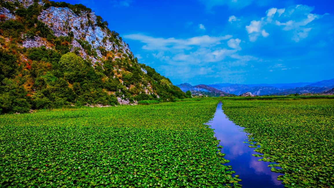 image n.14 of Virpazar: Skadar Lake PRIVATE Boat Tour to KOM MONASTERY activity in Podgorica Municipality, uploaded by supplier