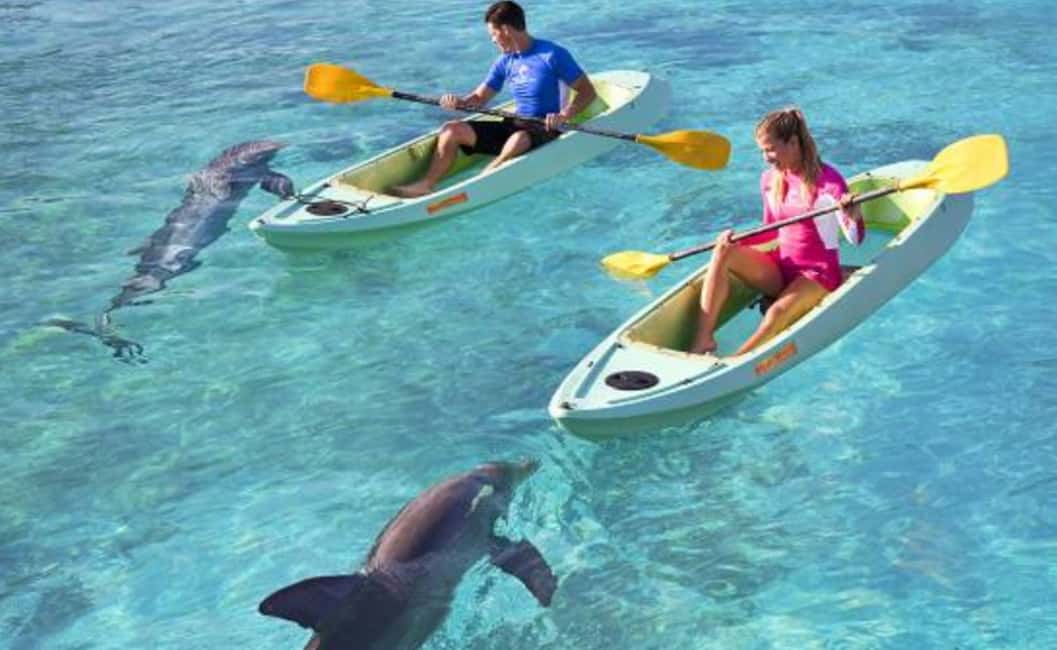 Image N°2 de Dubaï : Excursion en kayak avec les dauphins d'Atlantis et parc aquatique Aquaventure activité à Dubaï, publiée par le prestataire