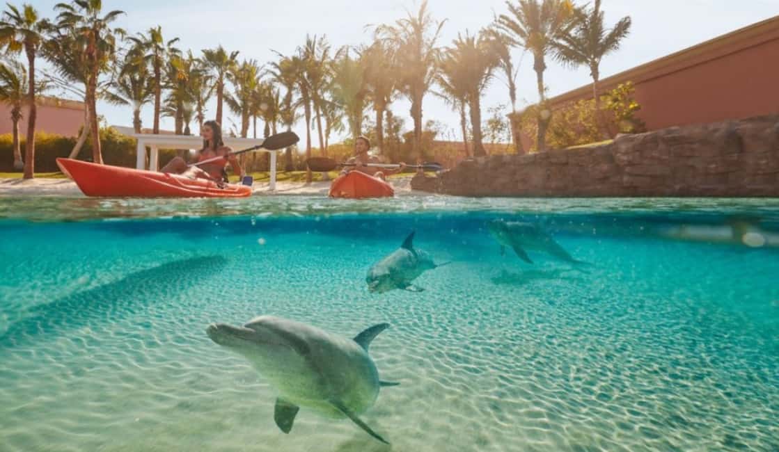 Image N°1 de Dubaï : Excursion en kayak avec les dauphins d'Atlantis et parc aquatique Aquaventure activité à Dubaï, publiée par le prestataire