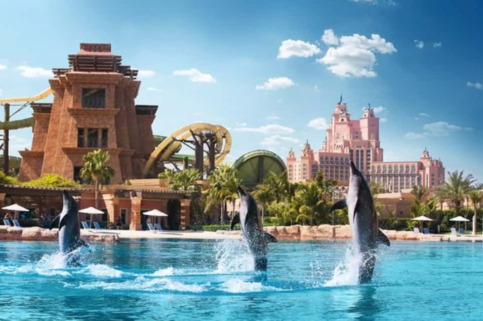 Image N°3 de Dubaï : Excursion en kayak avec les dauphins d'Atlantis et parc aquatique Aquaventure activité à Dubaï, publiée par le prestataire