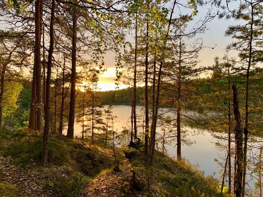 Immagine nº 7 di Stoccolma: Escursione al tramonto nel Parco Nazionale di Tyresta con pasto attività a Stoccolma, caricata dal fornitore