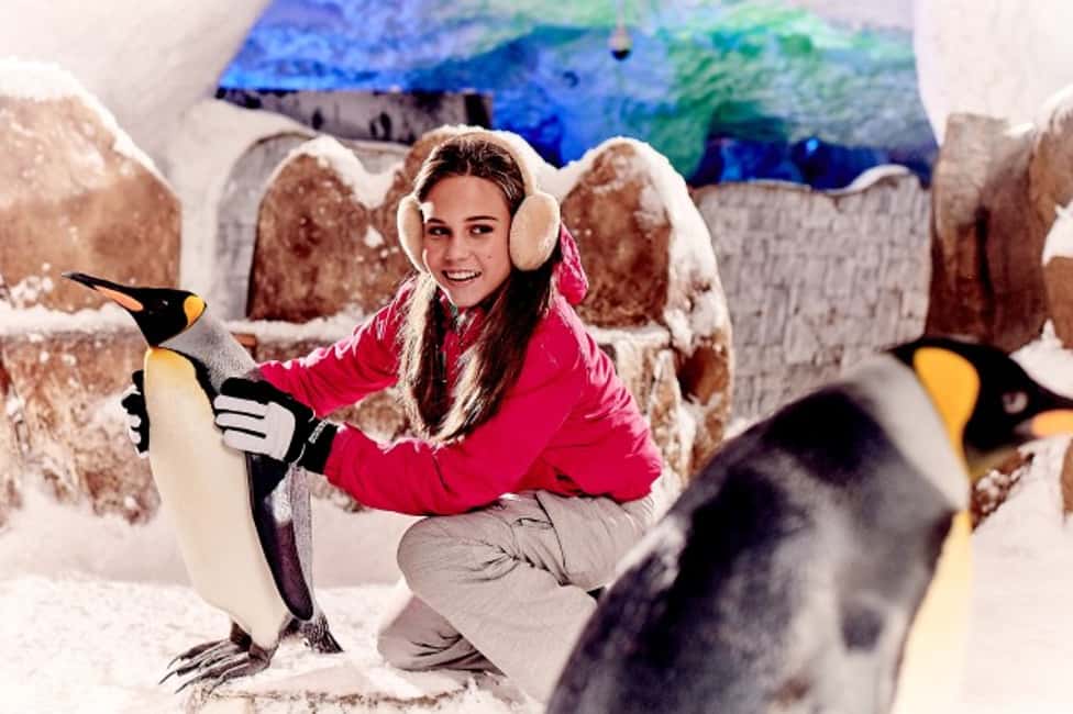 Bild Nr. 13 von Dubai: Ski Dubai Snow Plus Pass Aktivität in Dubai, hochgeladen vom Anbieter