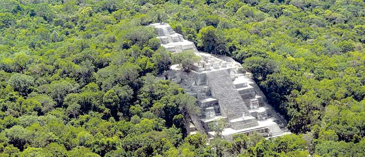 Image N°1 de Depuis Campeche : excursion guidée d'une journée dans la nature et l'histoire de Calakmul activité à Bacalar, publiée par le prestataire