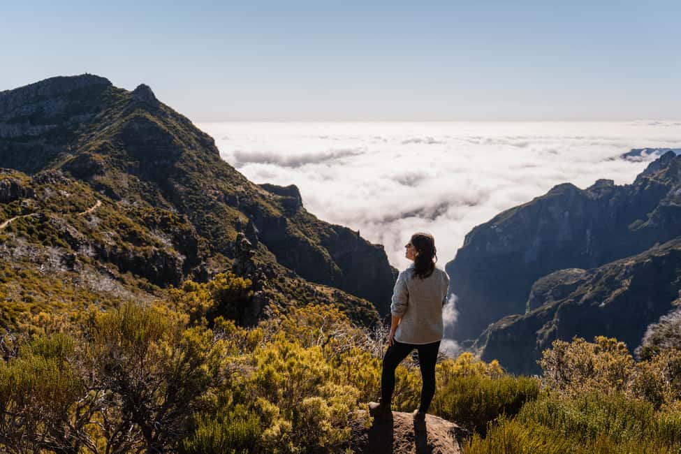 bild nr.7 av Från Funchal: Transfer till Pico do Arieiro Trail aktivitet i Madeira, uppladdad av arrangören