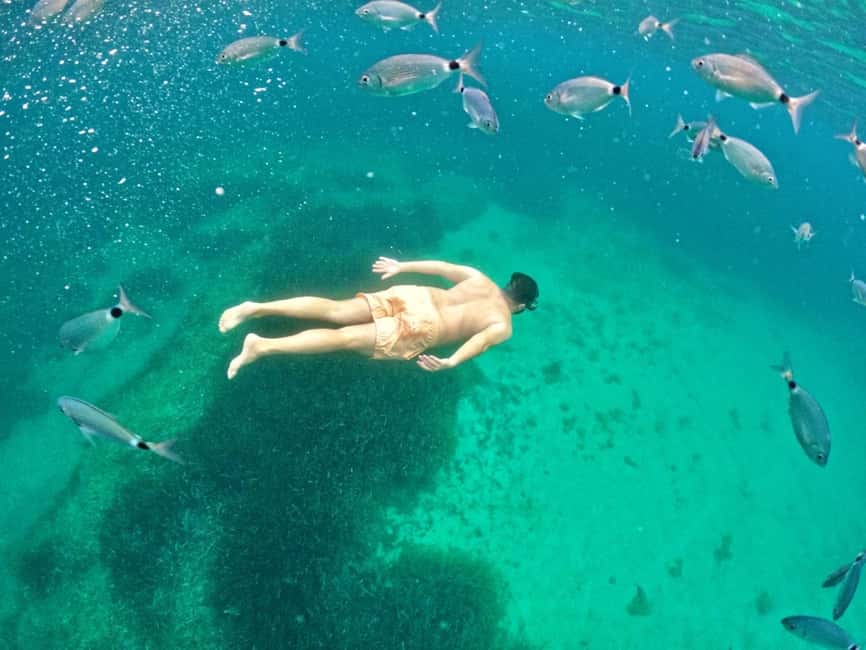 image n.6 of Alghero: Boat Tour with Snorkeling in Porto Conte activity in Alghero, uploaded by supplier