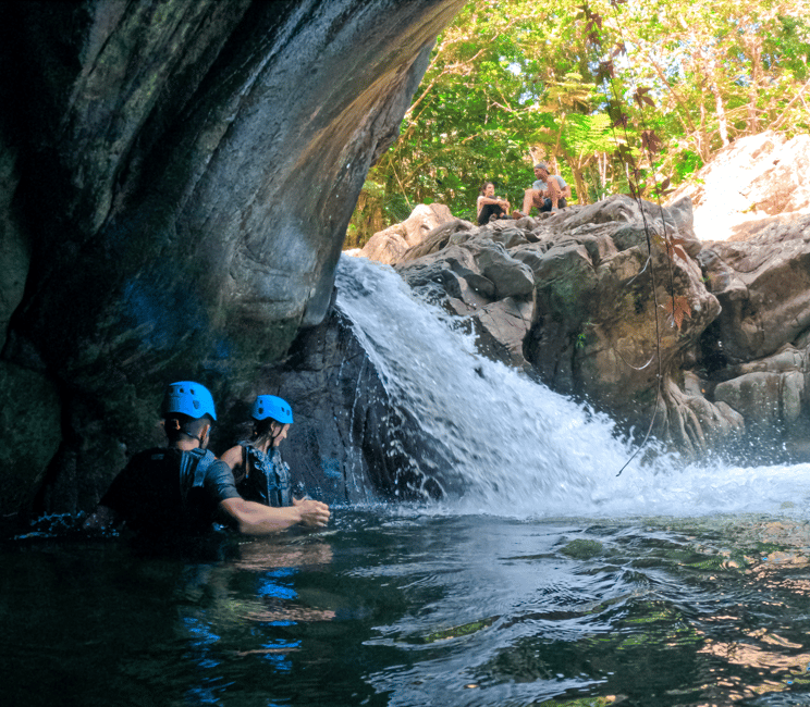 billede nr.11 af aktiviteten San Juan: El Yunque og Bio Bay heldagstur med transport i Río Grande, Puerto Rico, uploadet af udbyder