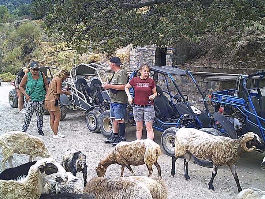 image n.1 of Buggy safari Crete (Transfer and lunch) analipsi- hersonisos activity in Neapolis, Crete, uploaded by supplier
