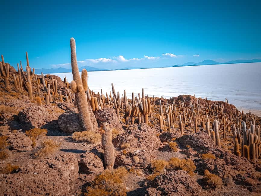 imagem n.24 de Uyuni: tour guiado de 3 dias pelo deserto de sal e pelo parque nacional de Avaroa atividade em Uyuni, carregada pelo fornecedor