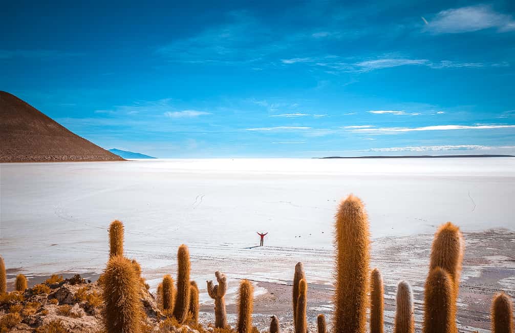 imagem n.4 de De La Paz: Viagem de 4 dias a San Pedro de Atacama com Salinas atividade em Província de Sur Lipez, carregada pelo fornecedor