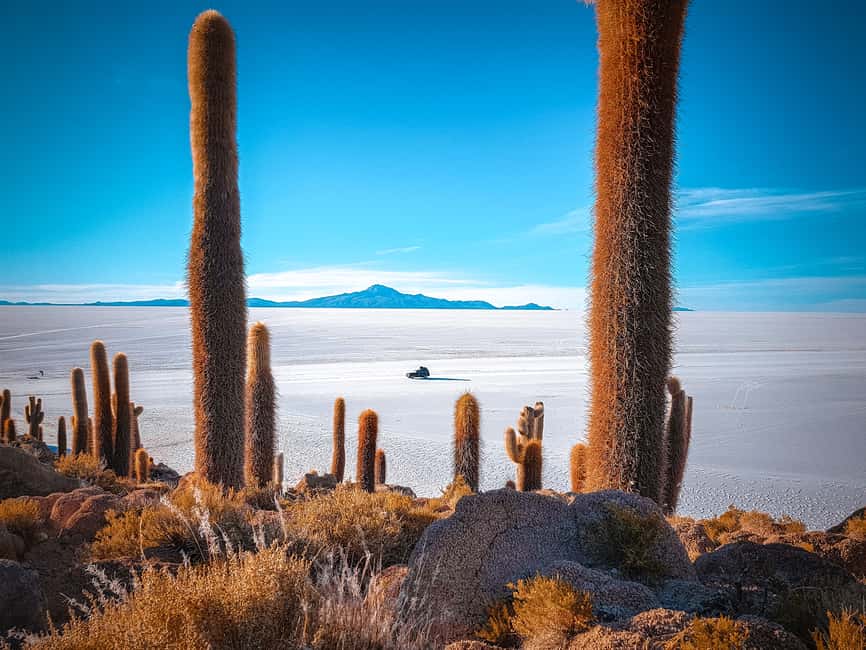 imagem n.14 de De La Paz: Viagem de 4 dias a San Pedro de Atacama com Salinas atividade em Província de Sur Lipez, carregada pelo fornecedor