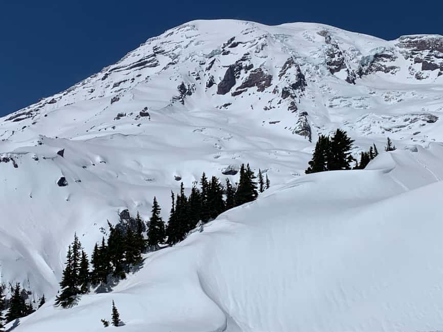 image n.2 of Seattle: Mt. Rainier Hiking w/ Waterfalls, Glaciers & Trees activity in Washington (State), uploaded by supplier