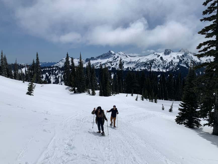 image n.3 of Seattle: Mt. Rainier Hiking w/ Waterfalls, Glaciers & Trees activity in Washington (State), uploaded by supplier