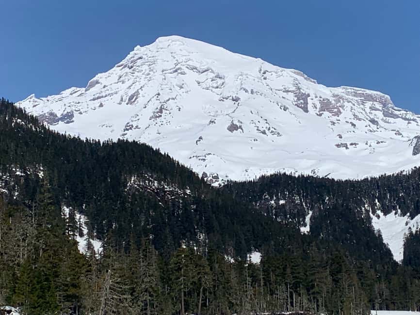 image n.5 of Seattle: Mt. Rainier Hiking w/ Waterfalls, Glaciers & Trees activity in Washington (State), uploaded by supplier