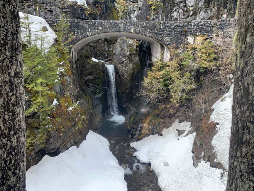 image n.4 of Seattle: Mt. Rainier Hiking w/ Waterfalls, Glaciers & Trees activity in Washington (State), uploaded by supplier