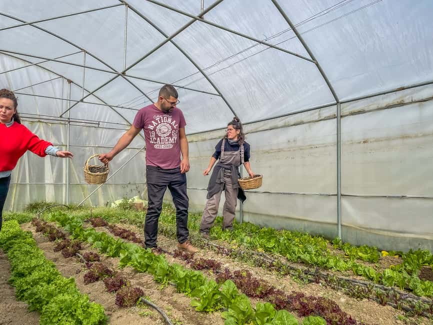 image n.3 of Ioannina: East Zagori Farming Experience & Cooking Class activity in Epirus, uploaded by supplier