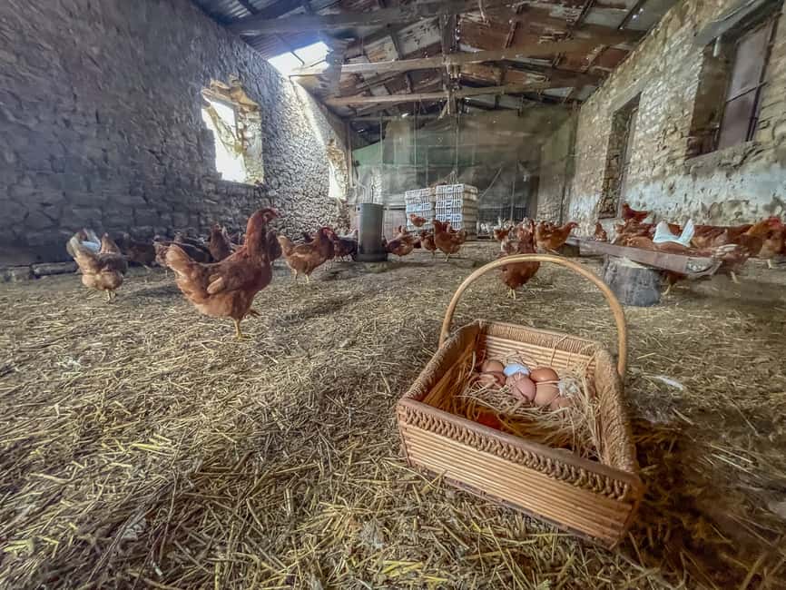 image n.7 of Ioannina: East Zagori Farming Experience & Cooking Class activity in Epirus, uploaded by supplier