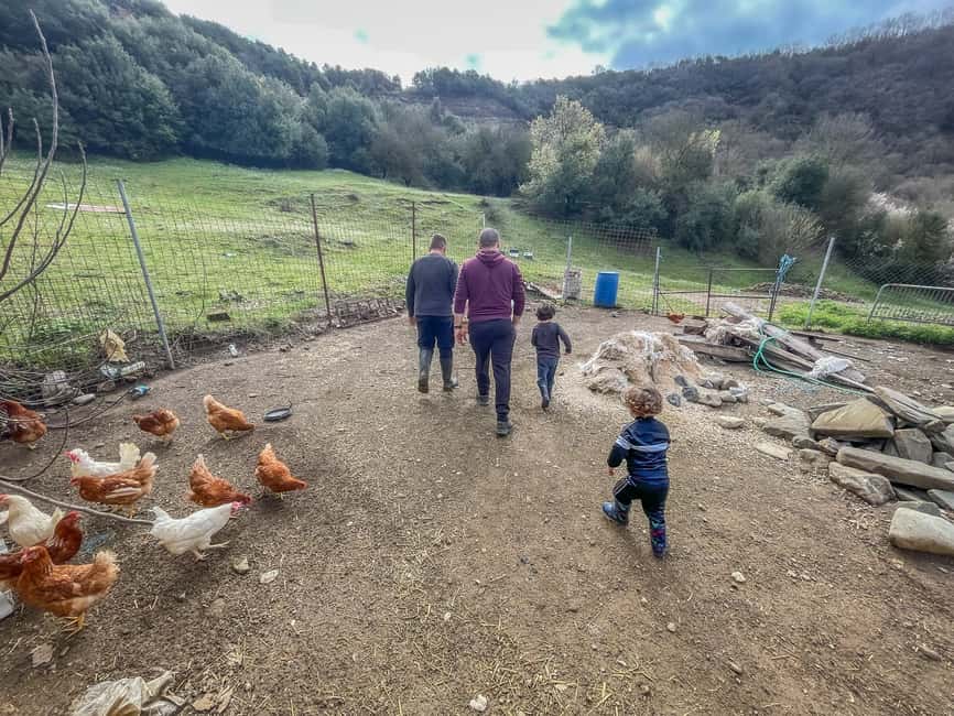 image n.10 of Ioannina: East Zagori Farming Experience & Cooking Class activity in Epirus, uploaded by supplier