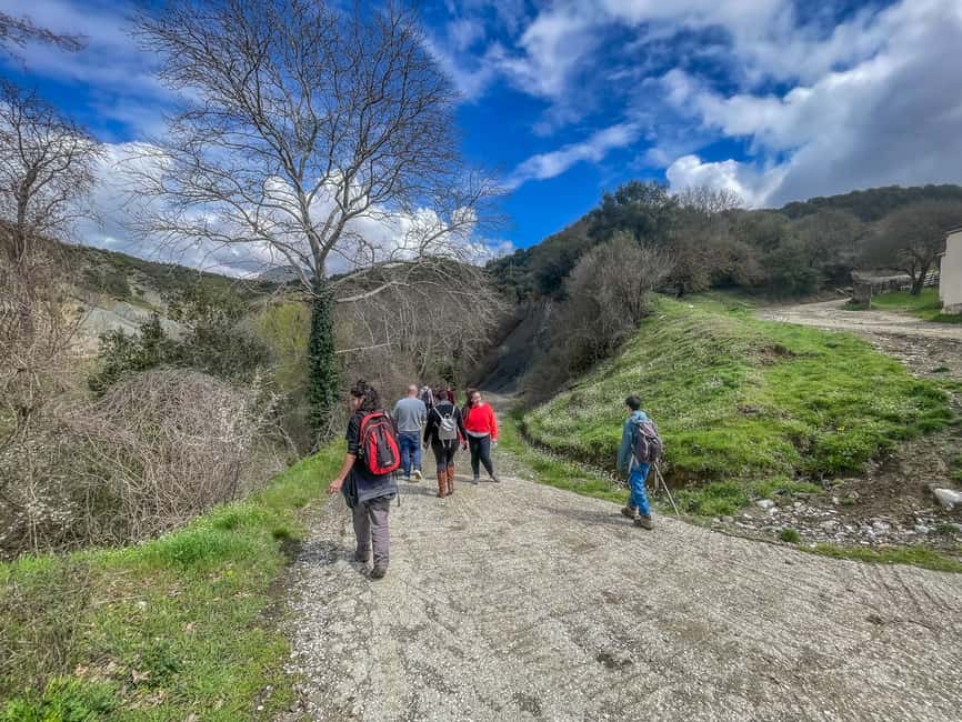 image n.14 of Ioannina: East Zagori Farming Experience & Cooking Class activity in Epirus, uploaded by supplier