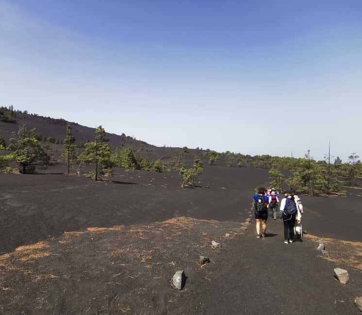 Bild Nr. 2 von La Palma: Geführte Tour zum Vulkan Tajogaite mit Transfer Aktivität in El Paso, Spanien, hochgeladen vom Anbieter