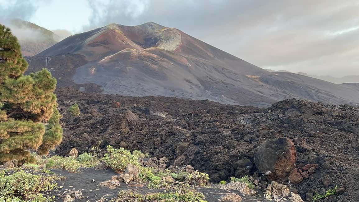 Bild Nr. 4 von La Palma: Geführte Tour zum Vulkan Tajogaite mit Transfer Aktivität in El Paso, Spanien, hochgeladen vom Anbieter