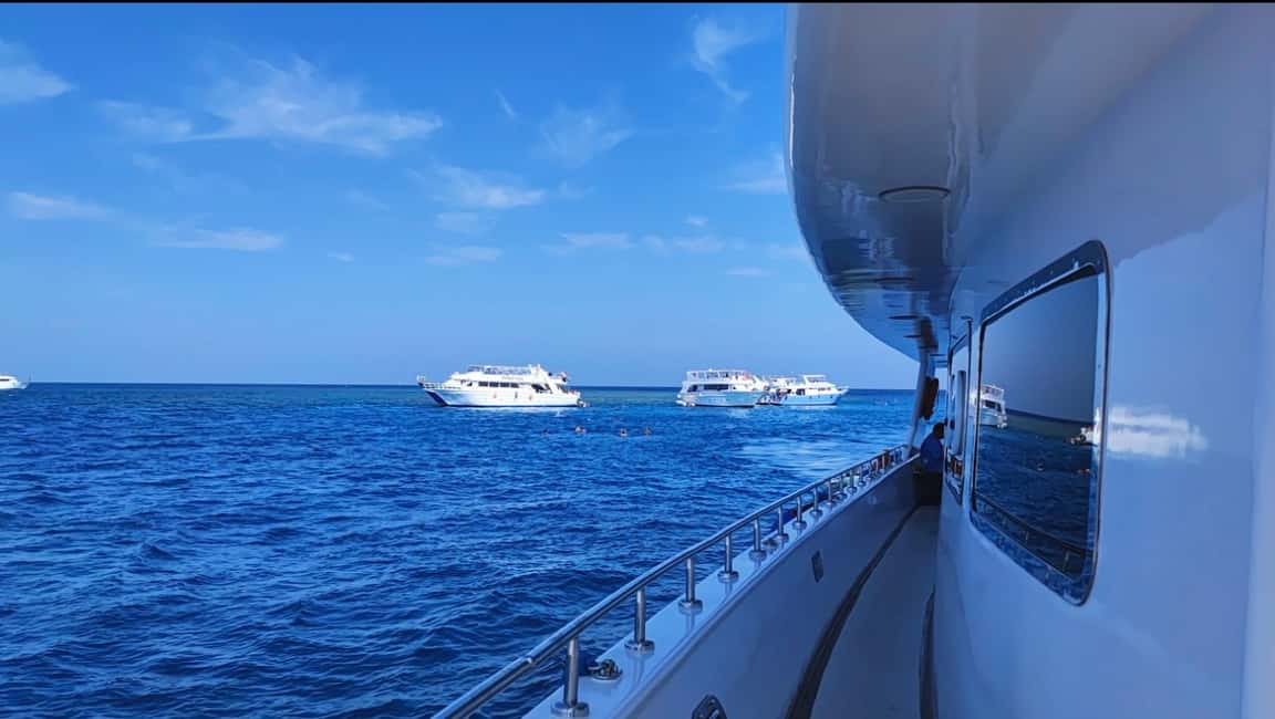 bild nr.10 av Sharm El-Sheikh: Lyxig kryssning till Ras Mohammed och White Island aktivitet i Sina al-Janubiyya, uppladdad av arrangören
