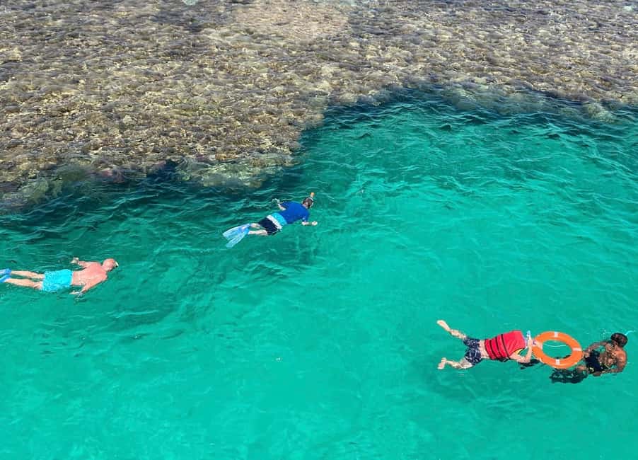 bild nr.16 av Sharm El-Sheikh: Lyxig kryssning till Ras Mohammed och White Island aktivitet i Sina al-Janubiyya, uppladdad av arrangören