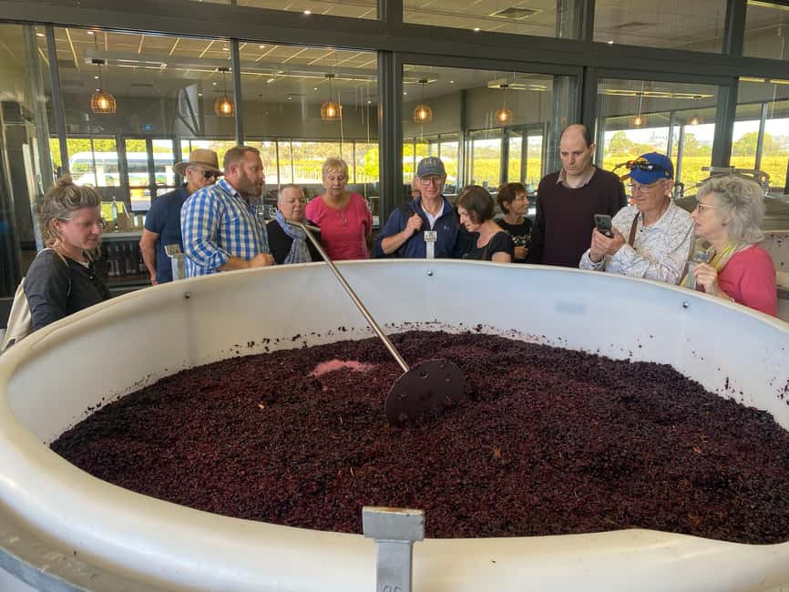 image n.5 of Adelaide: Barossa Premium Wine Tasting tour & Winery Lunch activity in Lyndoch, uploaded by supplier