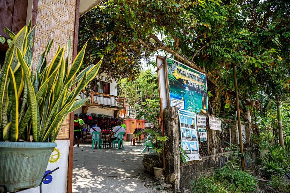 imagem n.11 de Cebu: Snorkeling com tubarões-baleia e excursão de canyoning a Kawasan atividade em Badian, carregada pelo fornecedor