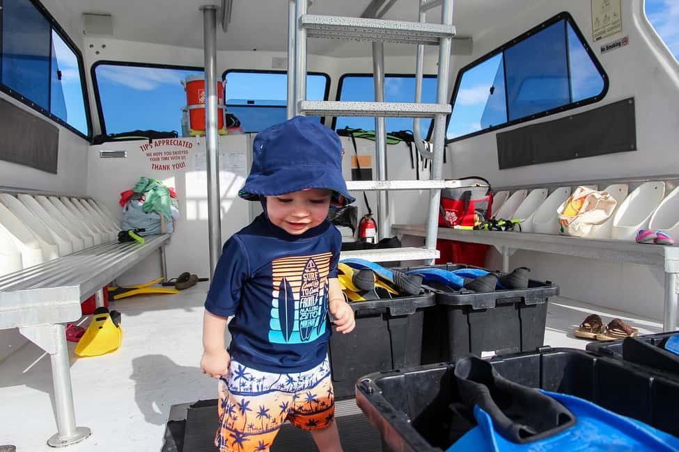 image n.3 of Destin: Snorkeling Cruise with 2 Stops and Dolphin Watching activity in Destin, uploaded by supplier