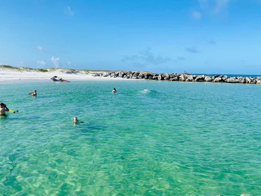 image n.11 of Destin: Snorkeling Cruise with 2 Stops and Dolphin Watching activity in Destin, uploaded by supplier