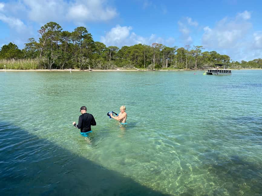 image n.10 of Destin: Snorkeling Cruise with 2 Stops and Dolphin Watching activity in Destin, uploaded by supplier